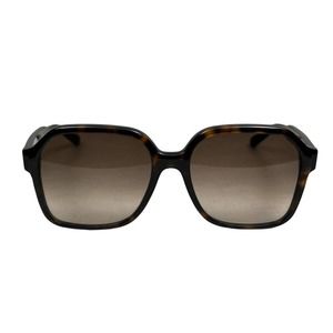 Salvatore Ferragamo SF1069S Sunglasses Gradient Lens Full Square Rim Brown Women